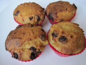 Low Carb Orange Choc Chip Muffins